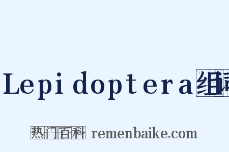 Lepidoptera组词是什么意思的图片